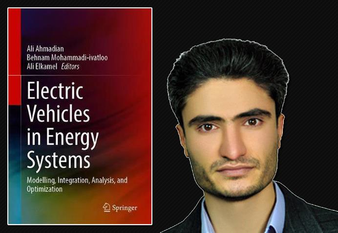  Electric Vehicles in Energy Systems
